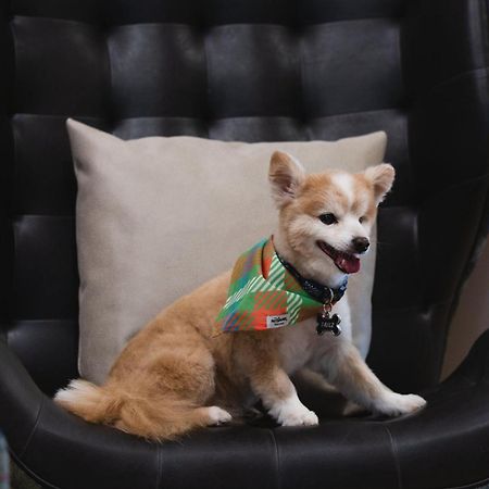 レジデンス イン フォート ワース カルチュラル ディストリクト フォートワース エクステリア 写真